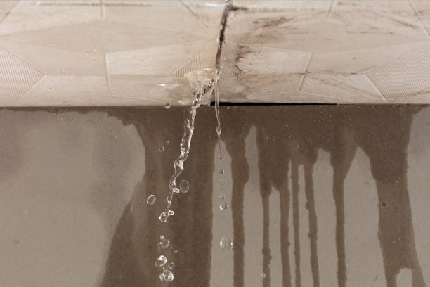 Professional Burst Pipe Cleanup technician working in Lynn, AL